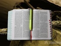 Kewibawaan Alkitab
