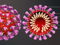 Mengenal Virus Sars-CoV-2 Penyebab Covid-19